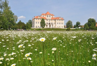 Jarní louka zámek